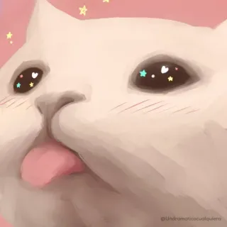 😜 chat, mignon, animal, autocollant, kawaii, animal de compagnie whatsapp sticker