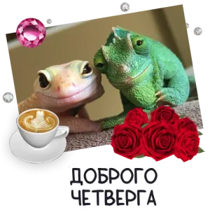 🌟 ДОБРОГО ЧЕТВЕРГА 도마뱀, 카멜레온, 장미, 커피, 목요일, 좋은 하루 telegram sticker