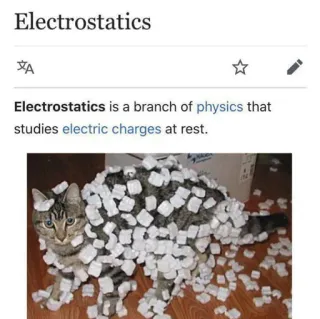 😳 Electrostatics electrostatics, physics, cat, science, static telegram sticker