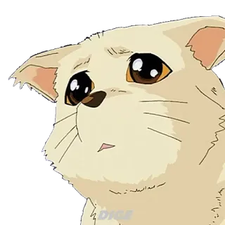 😿 DIGE mèo, buồn, anime, hoạt hình telegram sticker