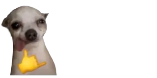 🤙 chihuahua, cane, animale, meme, divertente, carino telegram sticker