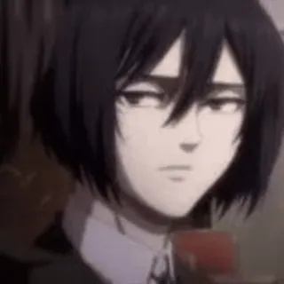 😒 Mikasa Ackerman Attack on Titan Anime, Mikasa, Attack on Titan, AOT, Karakter, Wanita, Ilustrasi whatsapp sticker