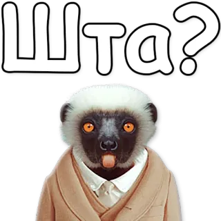 😧 ШТА? lémurien, animal, drôle, question, costume, wtf, fou telegram sticker