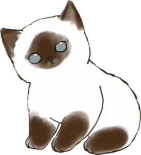 🐱 cat, kitten, siamese, animal, cute telegram sticker