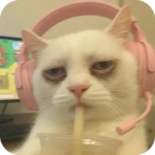 🐱 Gamer Cat telegram sticker