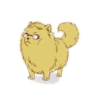 🐈 Hund, Brille, Tier, süß, Haustier, Cartoon telegram sticker