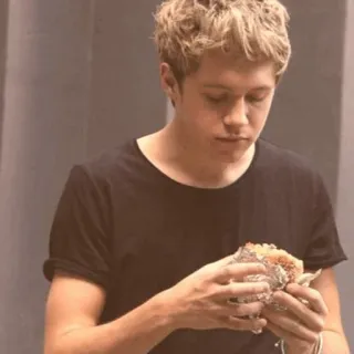 🎸 Niall Horan Niall Horan, One Direction, cantor, celebridade, comida, burrito telegram sticker