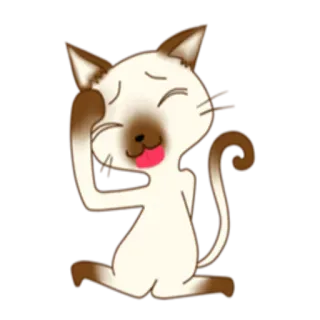 🙃 gatto, animale, carino, animale domestico, siamese, gattino whatsapp sticker