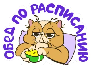 ❤ ОБЕД ПО РАСПИСАНИЮ gatto, mangiare, programma, pranzo, cartone animato telegram sticker