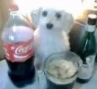 🌟 cachorro, coca-cola, bebida, garrafa, animal telegram sticker
