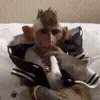 😎