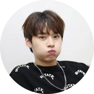 🤢 MUTATE kpop, asian, man, portrait, teen, celebrity, korean, chain telegram sticker