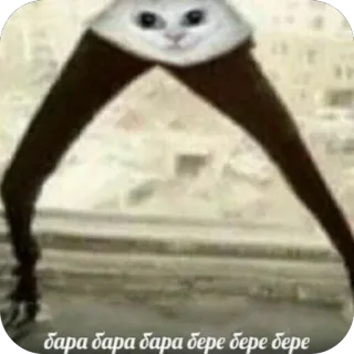 🫥 Beluga Discord meme бара бара бара бере бере бере beluga, cat, meme, legs, funny, bara bere, surreal telegram sticker