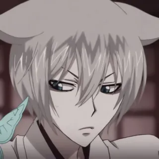 🖇 Tomoe Kamisama Kiss 动漫, 狐狸, 角色, 巴卫, 元气少女缘结神, 漫画, 可爱 telegram sticker