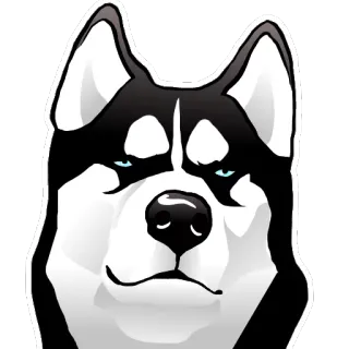 🤤 chó, husky, thú cưng, động vật, chân dung telegram sticker