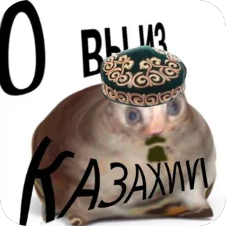 🫥 Gopher null О ВЫ ИЗ КАЗАХИИ gopher, kazakhstan, meme, funny, skull, animal telegram sticker