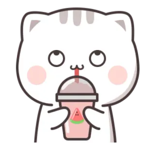 😼 gato, bebida, sandía, lindo, dibujos animados telegram sticker