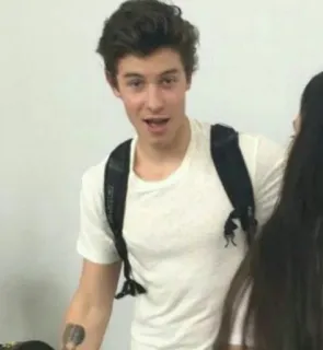😜 Shawn Mendes shawn mendes, singer, celebrity, person, portrait, young man telegram sticker