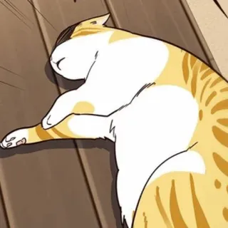 🐈 mèo, động vật, thú cưng, đang ngủ, vật nuôi, họ mèo telegram sticker