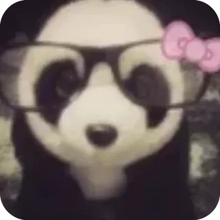 ❤ Panda whatsapp sticker