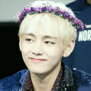 🍍 person, man, flower crown, blonde hair, smiling, portrait telegram sticker