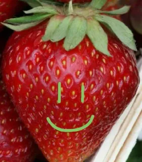 🌟 aardbei, fruit, eten, smiley whatsapp sticker