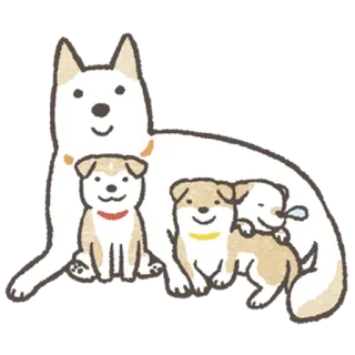 🐕 강아지, 강아지, 동물, 귀여운, 가족 telegram sticker