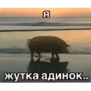 🕚 Я
жутка одинок.. cochon, solitude, triste, animal telegram sticker