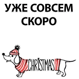 🐶 Уже совсем скоро perro, navidad, invierno, fiesta, texto, dachshund telegram sticker