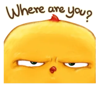 🐤 Where are you? frango, fofo, adesivo, animal, desenho animado, pergunta whatsapp sticker