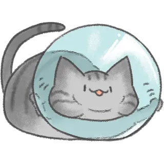 😛 kat, huisdier, dier, schattig, kawaii, cartoon whatsapp sticker