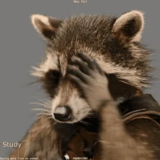 🦝 Rocket Raccoon Guardians of the Galaxy raccoon, animal, character, movie, funny, sad telegram sticker