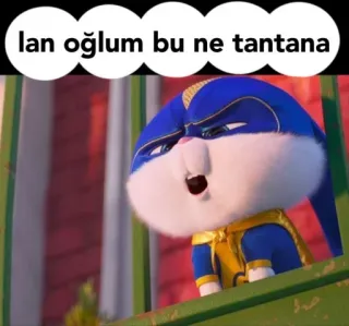 👀 lan oğlum bu ne tantana 토끼, 밈, 화난, 토끼, 만화 whatsapp sticker