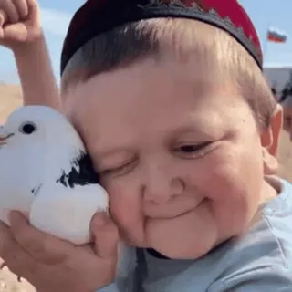 ☺️ Hasbulla schattig, kind, duif, glimlach, blij telegram sticker