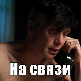🤙 Thomas Shelby Peaky Blinders На связи peaky blinders, thomas shelby, tv show, phone call, on the line telegram sticker