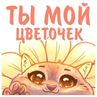🌼 ты мой цветочек katze, blume, süß, aufkleber, haustier, tier telegram sticker