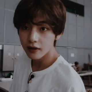 🐻 V kpop, 뷔, bts, 가수, 아이돌 telegram sticker