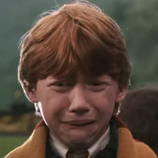 🦁 Ron Weasley Harry Potter 悲しい, 泣く, 感情的, 動揺, 悲しみ telegram sticker