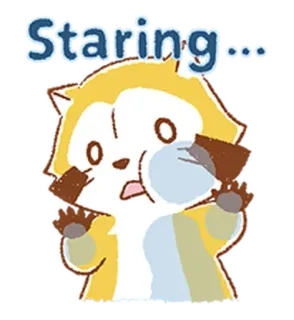 👀 Staring... mignon, animal, raton laveur, regardant, observant, drôle telegram sticker