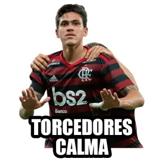 🧘‍♂️ TORCEDORES
CALMA football, football, fan, calme, supporters telegram sticker