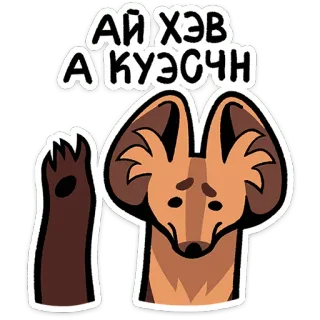 ⭐ АЙ ХЭВ А КУЭСЧН fennec fox, question, curious, animal, cute telegram sticker