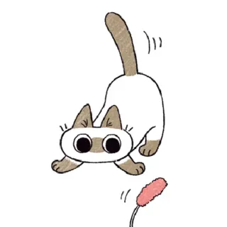 😶 kucing, ceria, anak kucing, hewan, imut, siam whatsapp sticker