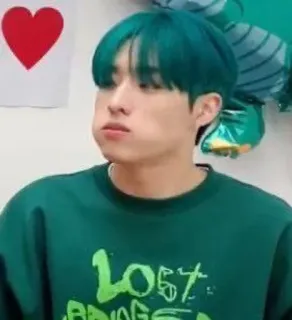 🌟 LOST BRIDGE k-pop, idol, groen haar, persoon, portret, uitdrukking telegram sticker