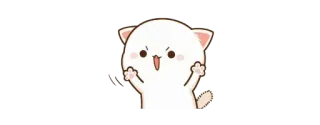 😈 gato, lindo, enojado, pegatina whatsapp sticker