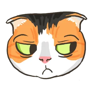 😒 gato, fofo, adesivo, animal, gato laranja, rosto, expressão telegram sticker