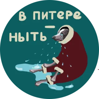 😪 В питере - ныть cachorro, chorando, triste, chuva, poça, casaco, São Petersburgo, russo, meme telegram sticker