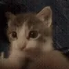🥰