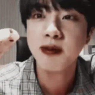 🌺 Jin K팝, 아이돌, 가수, 연예인, 유명인 telegram sticker