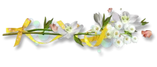 🙄 flowers, bouquet, ribbon, floral, spring, white flowers whatsapp sticker