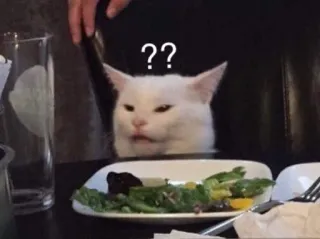 ❔ ?? cat, meme, confused, white cat, salad, question marks, dinner telegram sticker